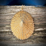 Load image into Gallery viewer, Ocean Goddess Limpet Shell Necklace
