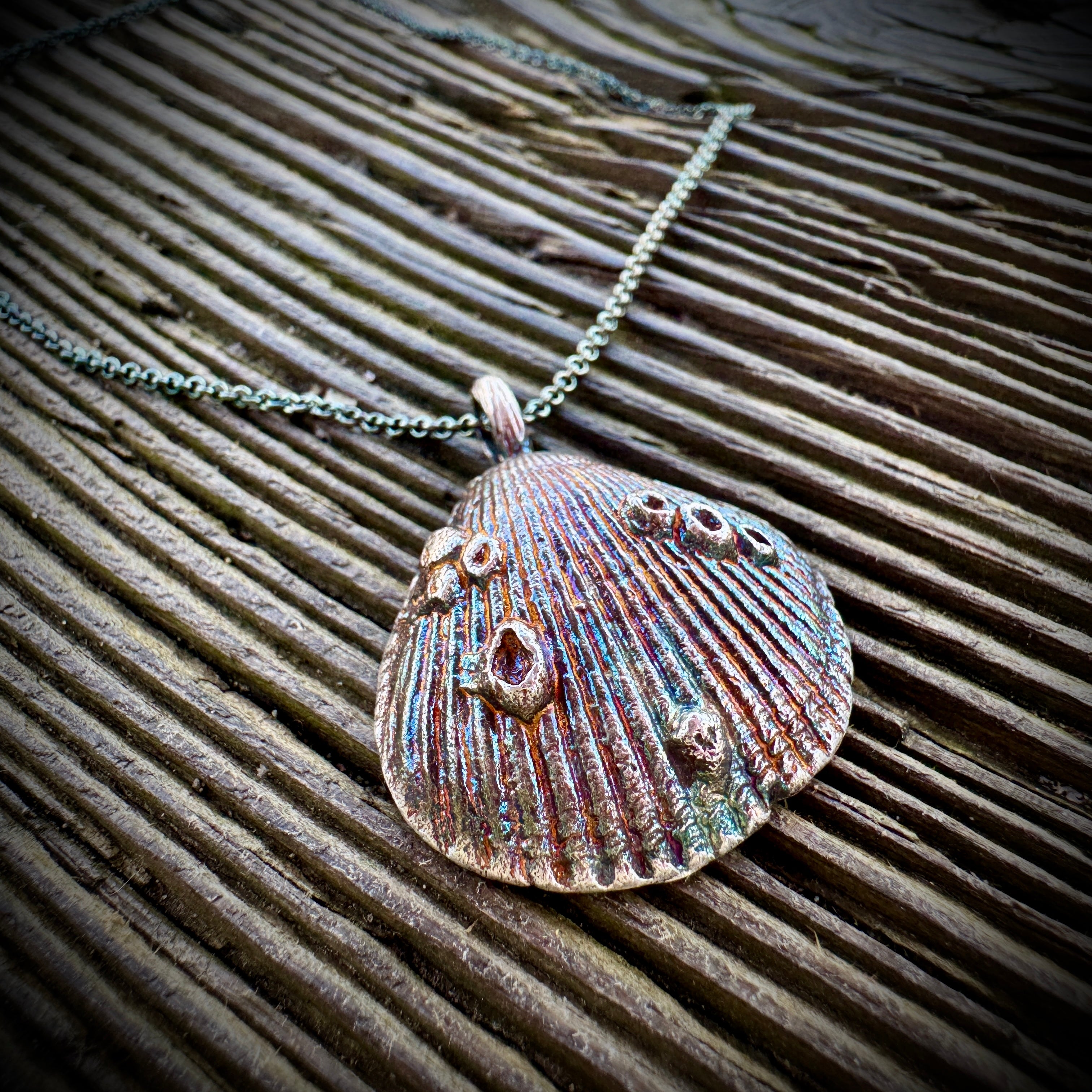 Coastal Harmony Clam & Barnacle Pendant Sterling Silver