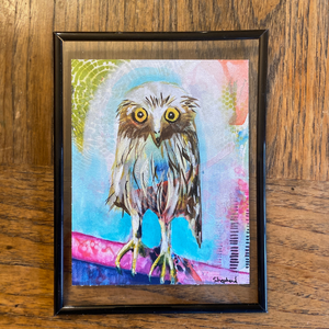 Grumpy Wet Owls: Steve (Limited Edition Prints)