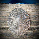Load image into Gallery viewer, Ocean Goddess Limpet Shell Necklace
