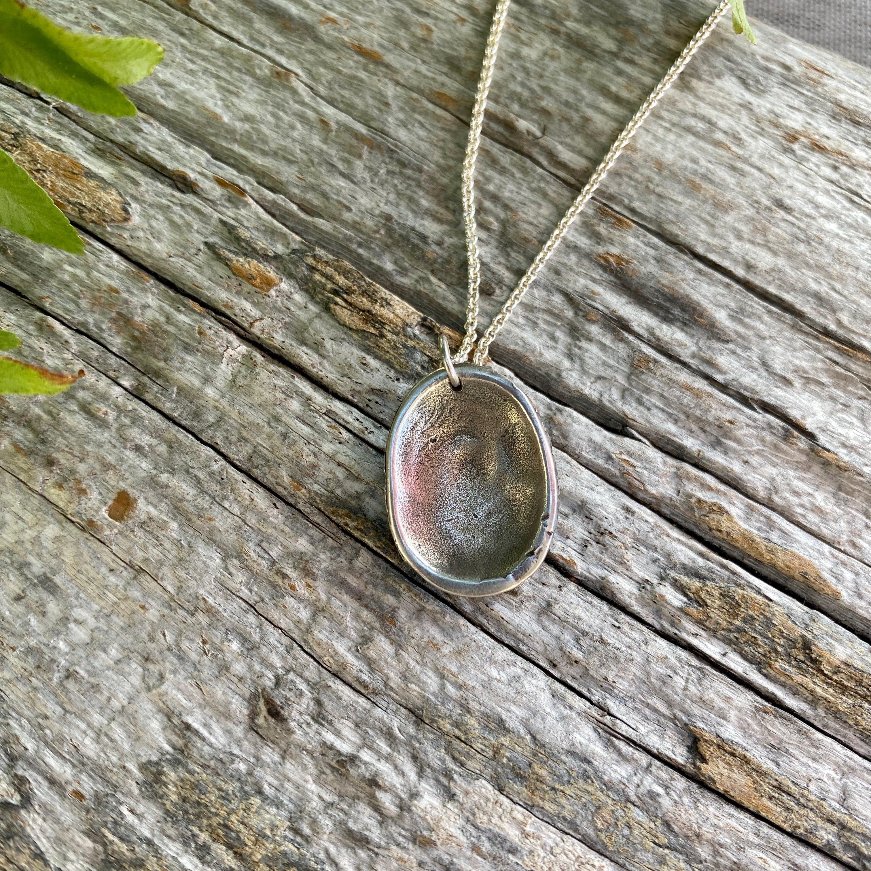 Limpet Shell Necklace