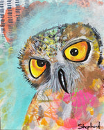Load image into Gallery viewer, Grumpy Wet Owls: Stanley (ORIGINAL PAINTING)
