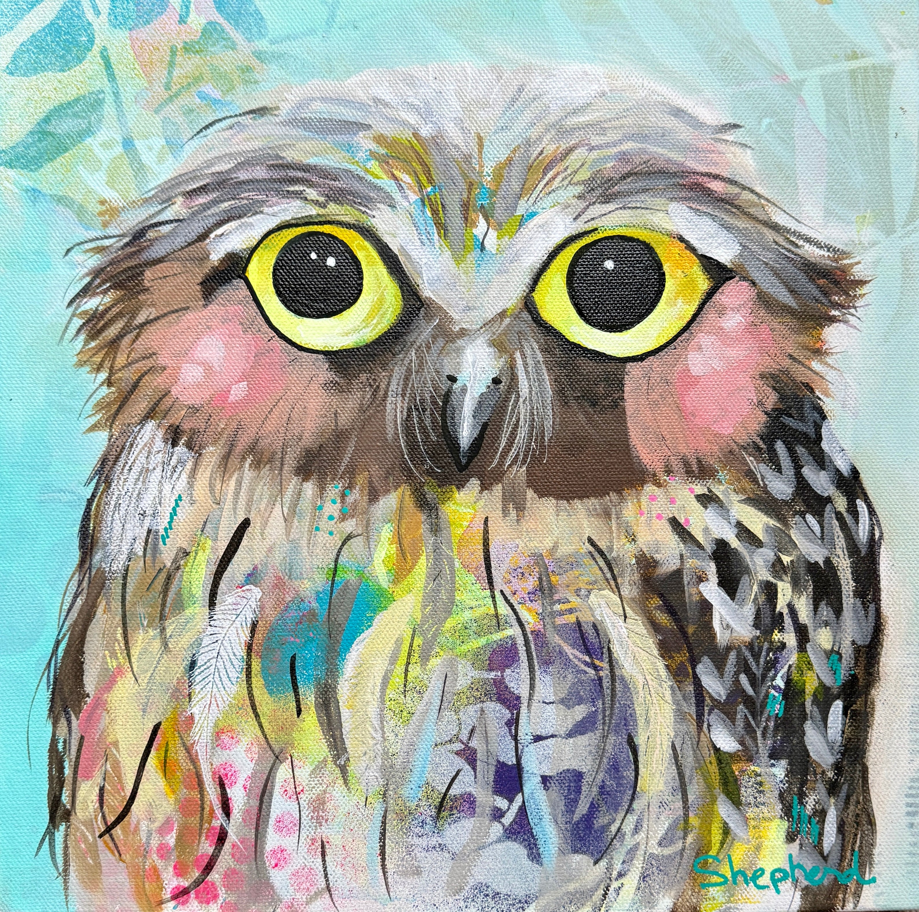 Grumpy Wet Owls: Jenny (Original Painting)