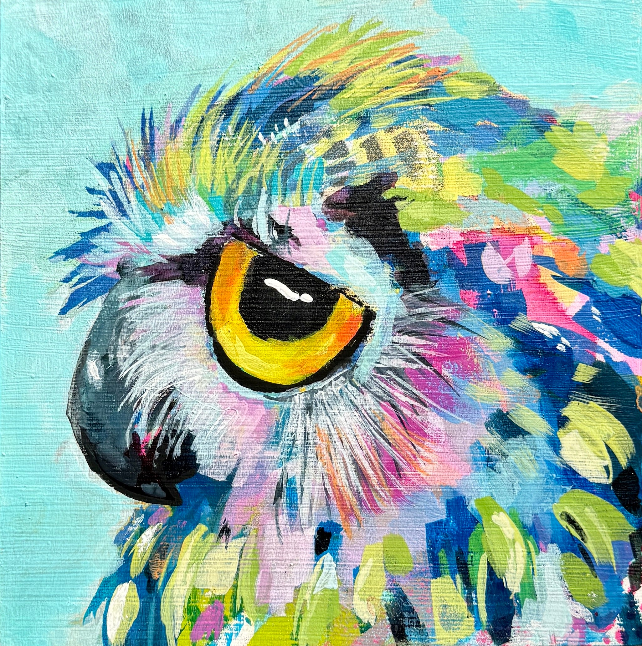 Grumpy Wet Owls: Kyle (Original Painting)