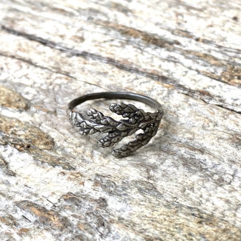 The Ambleside Cedar Sprig Ring