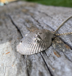 Daily offering 40% off  - Sterling Silver Clam & Barnacle Pendant
