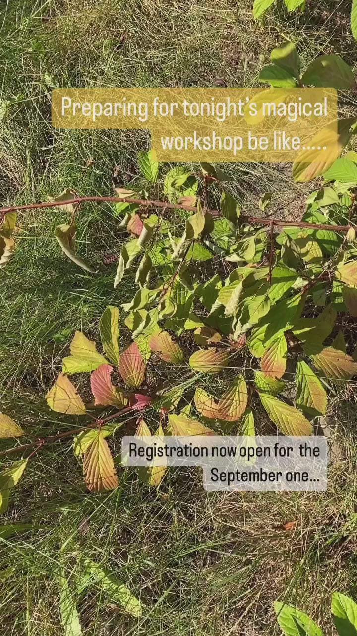 Activating Intuition & Creativity - Wednesday September 27th 2023